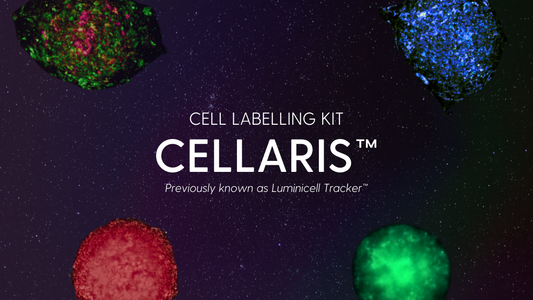 Luminicell Unveils Rebrand: Cellaris™ – Your Stellar Solution for Fluorescence Cell Labelling
