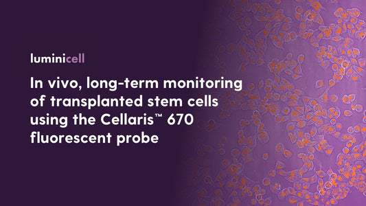 Application Note: in vivo, long-term monitoring of transplanted stem cells using Cellaris™ 670