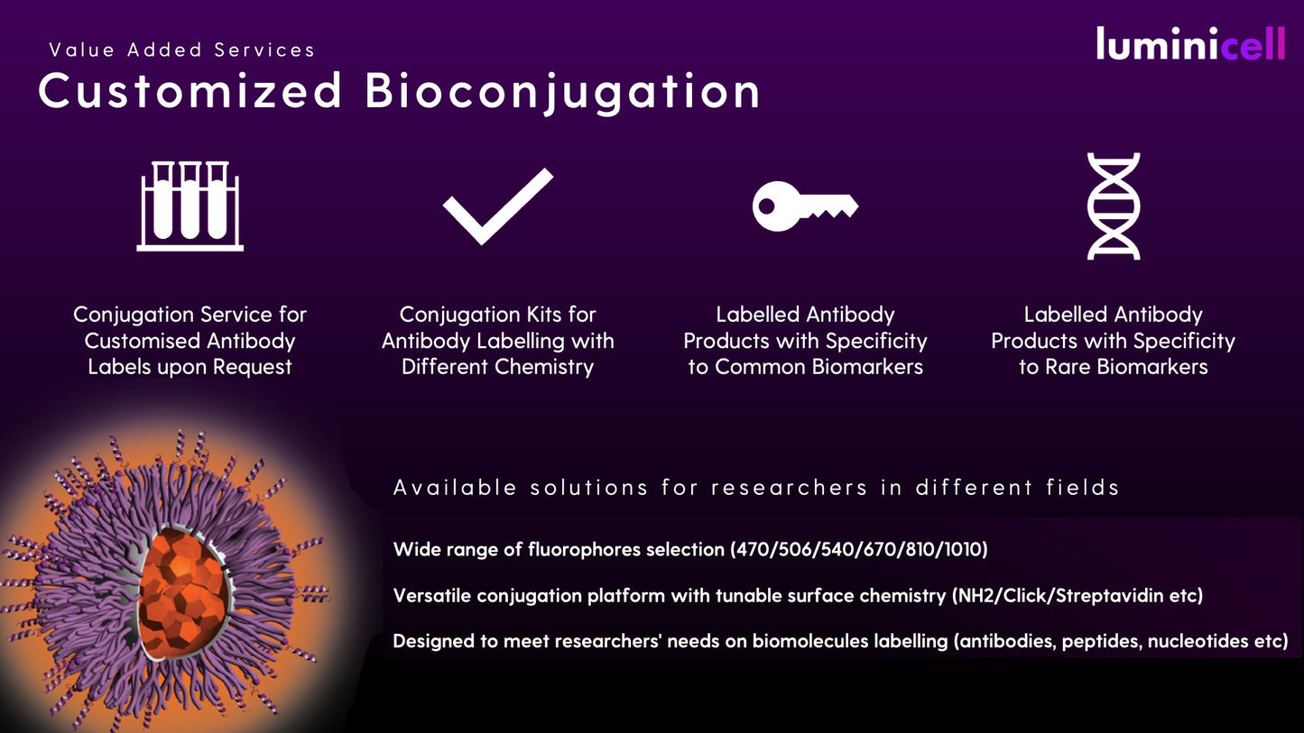 Customised Conjugation Services