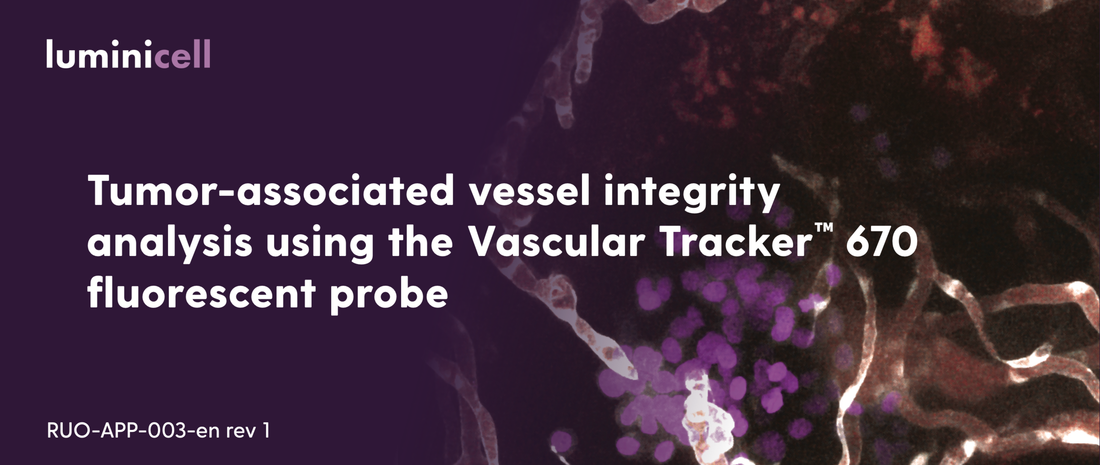 Application Note: Tumor-associated vessel integrity analysis using the Vascular Tracker™ fluorescent probe