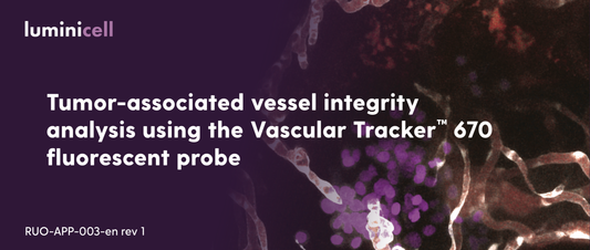 Application Note: Tumor-associated vessel integrity analysis using the Vascular Tracker™ fluorescent probe