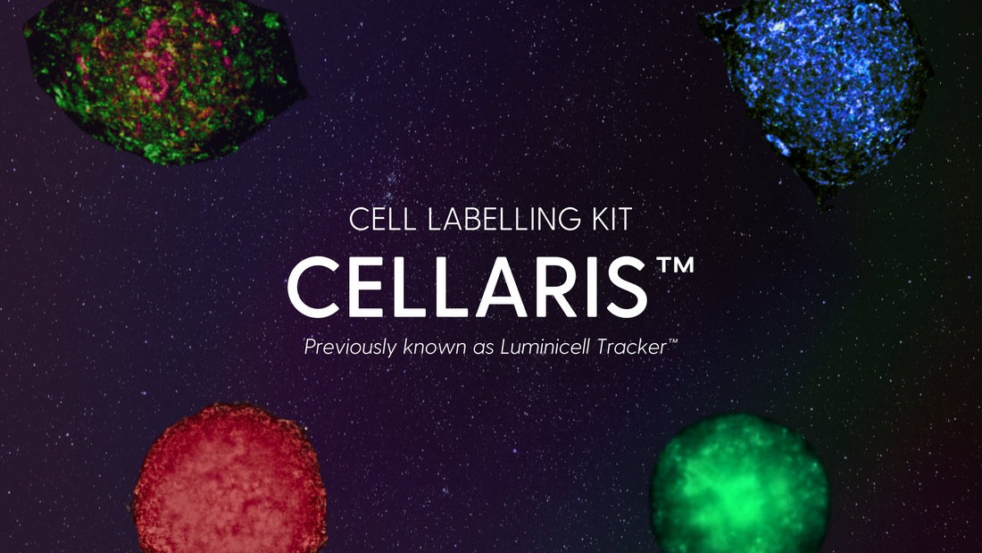 Luminicell Unveils Rebrand: Cellaris™ – Your Stellar Solution for Fluorescence Cell Labelling