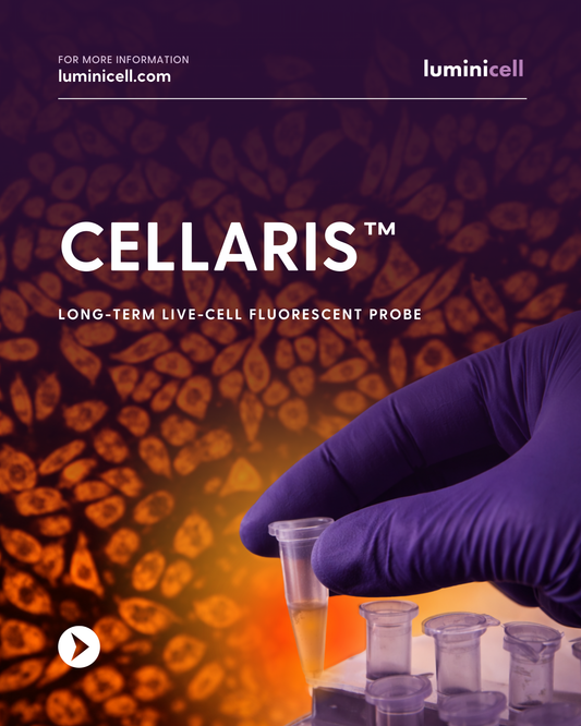 Eight-week fluorescent labelling with no transfection – is it possible?