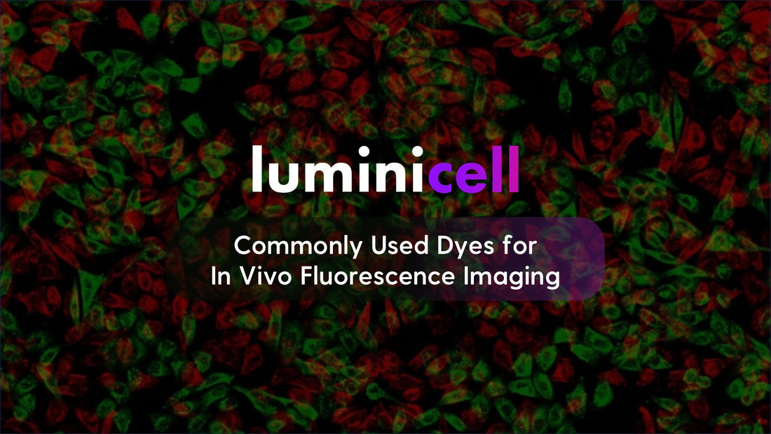Commonly Used Dyes for In Vivo Fluorescence Imaging