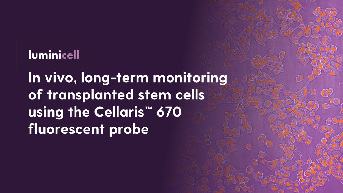 Application Note:  in vivo, long-term monitoring of transplanted stem cells using Cellaris™ 670